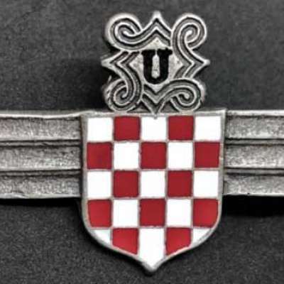 ww2 Ustase Croatia Pavelic Croatian Air Force Legion Badge for sale Profile Picture