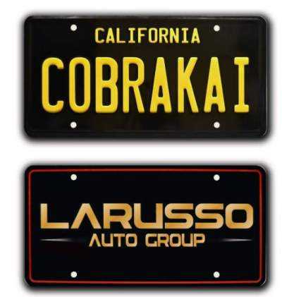 Cobra Kai license plates