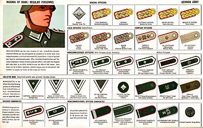 ww2 German army military Rank General officers Insignia uniform guide POSTER   | eBay
