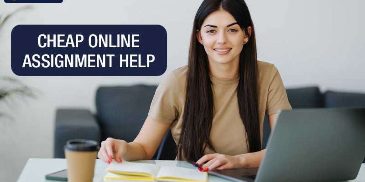 Online assignment help services can assist you in different ways