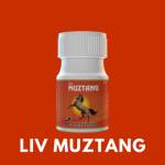 Liv Muztang