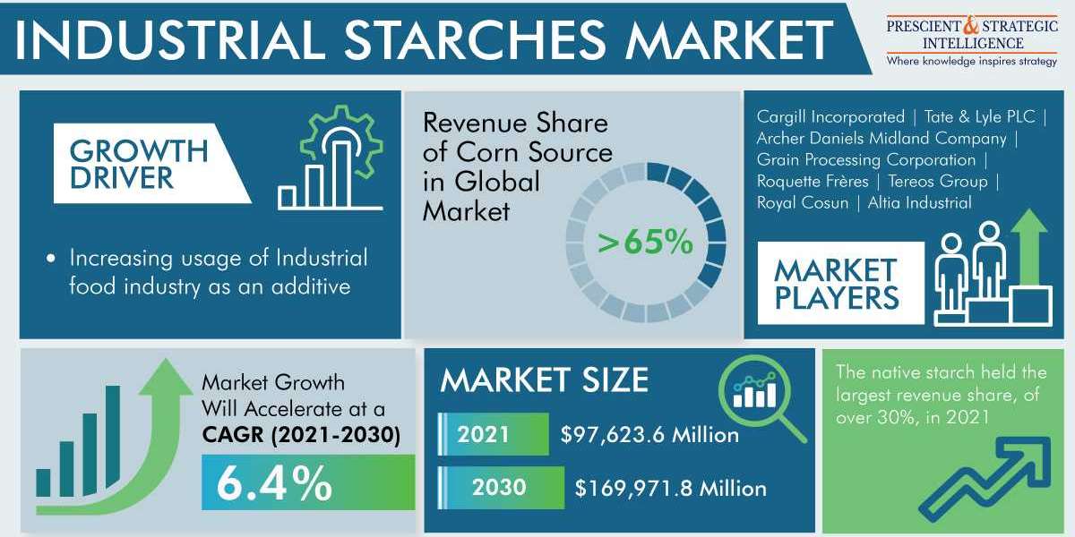 Industrial Starches Market Growth, Development and Demand Forecast Report 2030