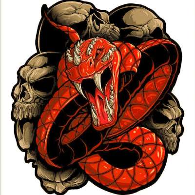 large Motorcycle biker vest jacket Printed patch sew Canvas red snake skull Profile Picture