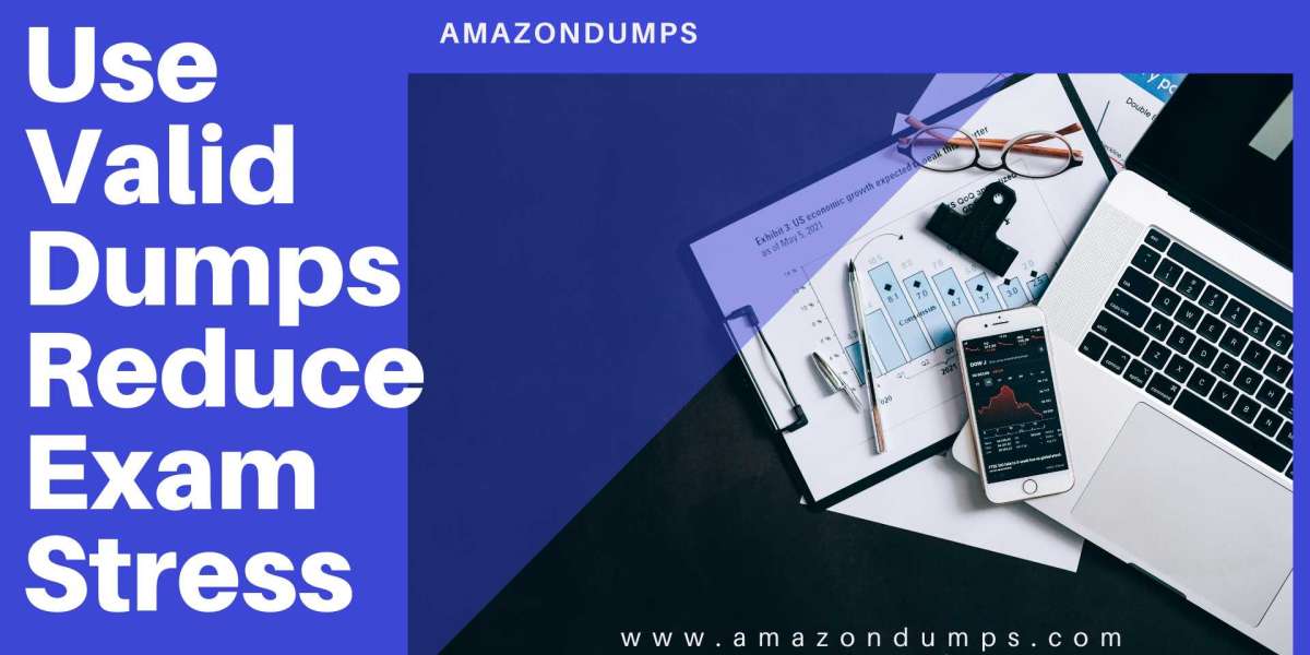 SAP-C02 Preparation Made Easy: Empower Yourself with AmazonDumps Practice Test