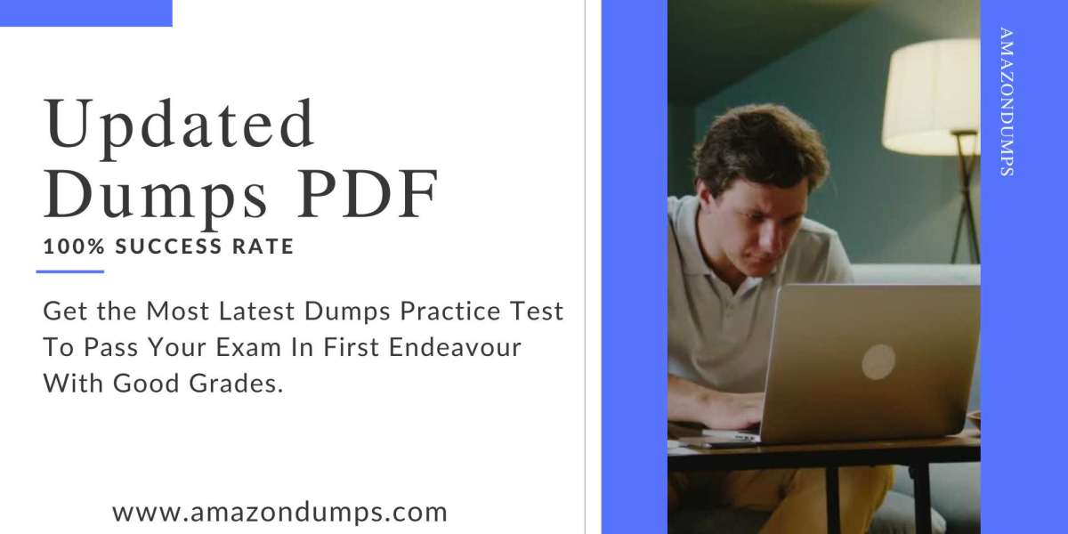 SAA-C03 Preparation Made Easy: Empower Yourself with AmazonDumps Practice Test