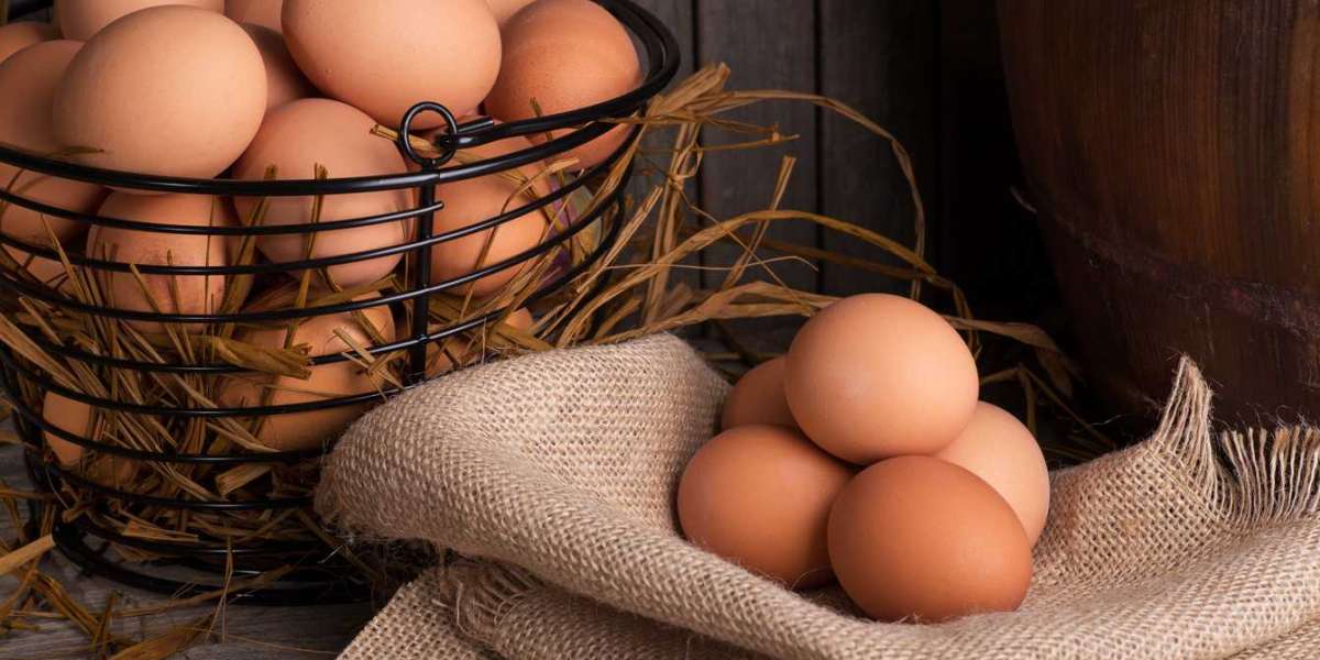 ARE EGGS BENEFICIAL FOR MALE IMPOTENCE?