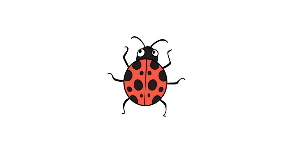How to Draw A Ladybug Easily