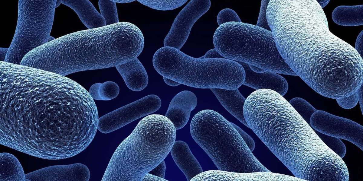 Microbiome Sequencing Services Market Growth 2023 | Industry Trends and Forecast 2028