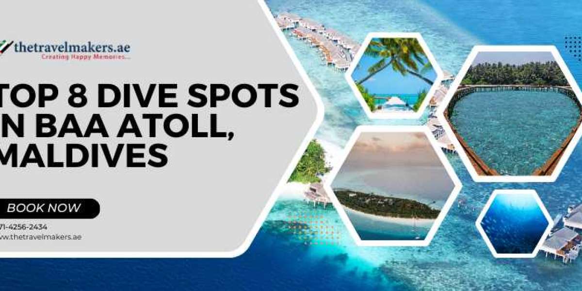 Top 8 Dive Spots in Baa Atoll, Maldives