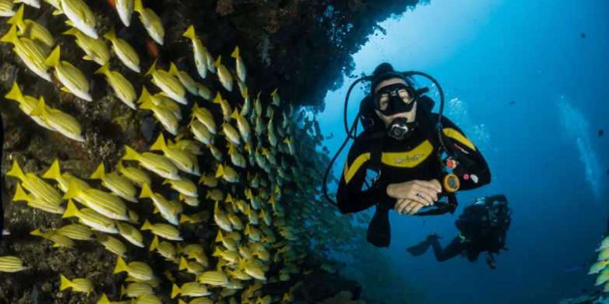 Scuba Diving in Andaman: Embarking on the Ultimate Adventure