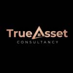TrueAsset consultancy