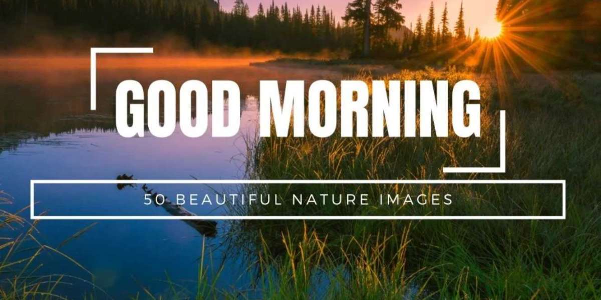 How a Simple Nature Good Morning Image Can Boost Your Mood and Productivity