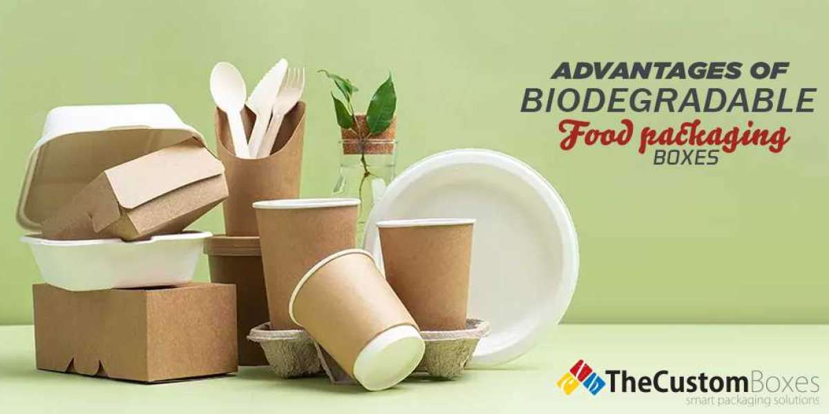 Advantages of Biodegradable Food Packaging Boxes