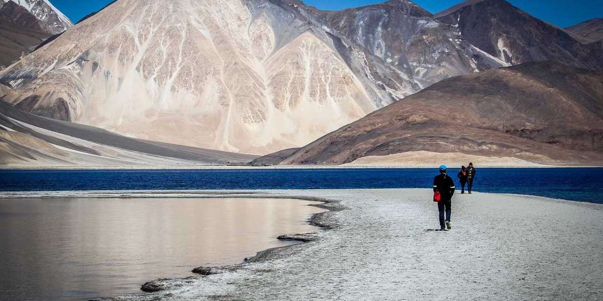 Enchanting Leh Ladakh Tour Packages: Embark on a Himalayan Odyssey