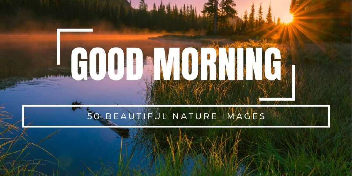 Embrace the Beauty of Nature with Good Morning Images: A Visual Treat for a Serene Start to Your Day