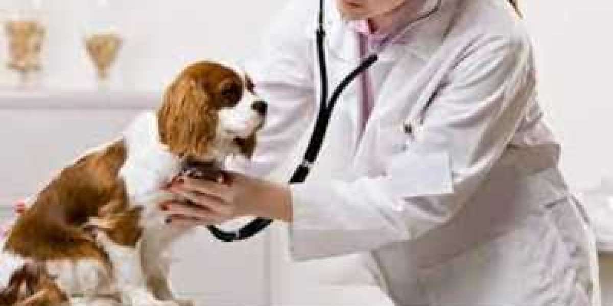 Animal Healthcare Market to Hit $200.70 Billion By 2030