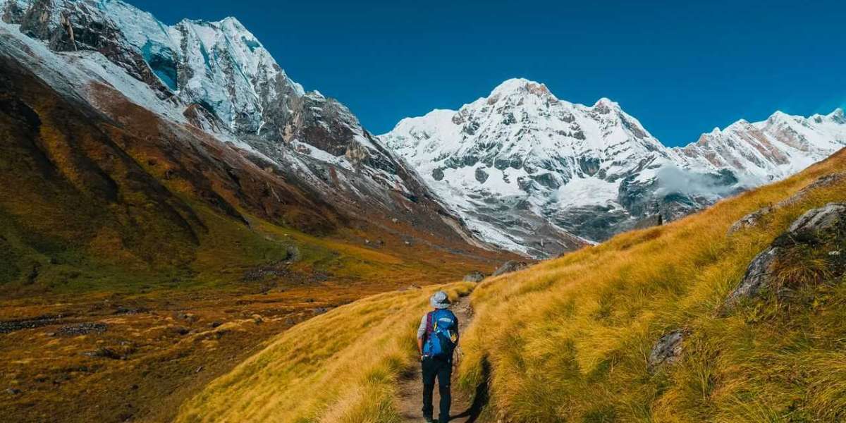 Exploring the Himalayas: Five Unforgettable Treks