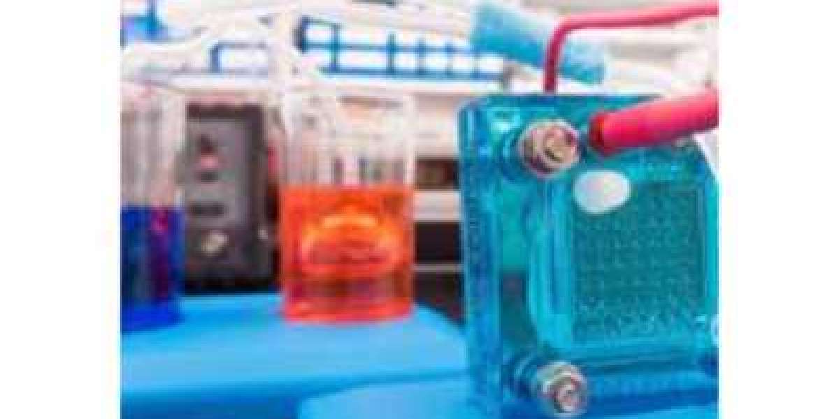 Fuel Cells Market to Hit $1971.07 Million By 2030