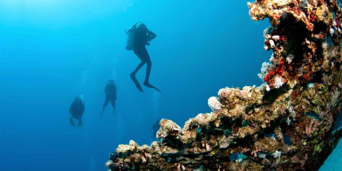 All You Need to Know About Scuba Diving in Grand Island