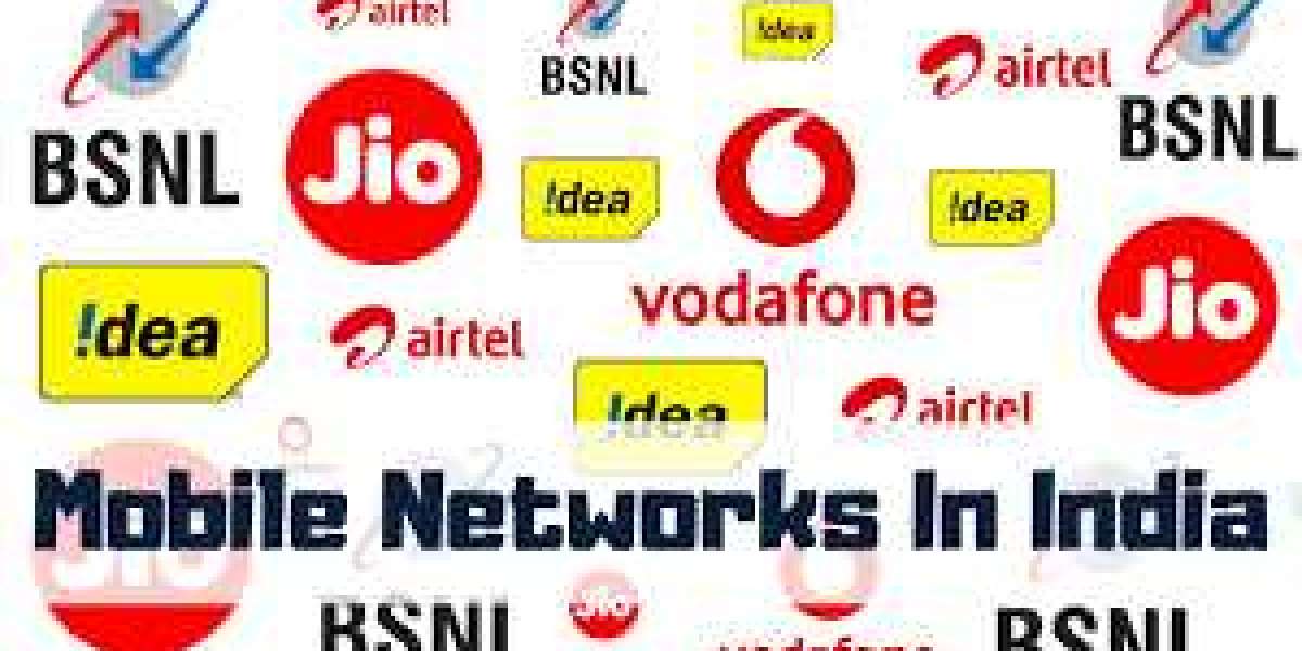 Connecting You to the World: The Top Network Providers in India