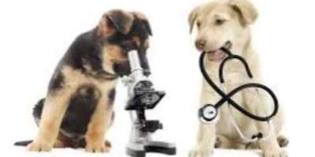 Veterinary Diagnostics Market to Hit $4663.51 Million By 2030