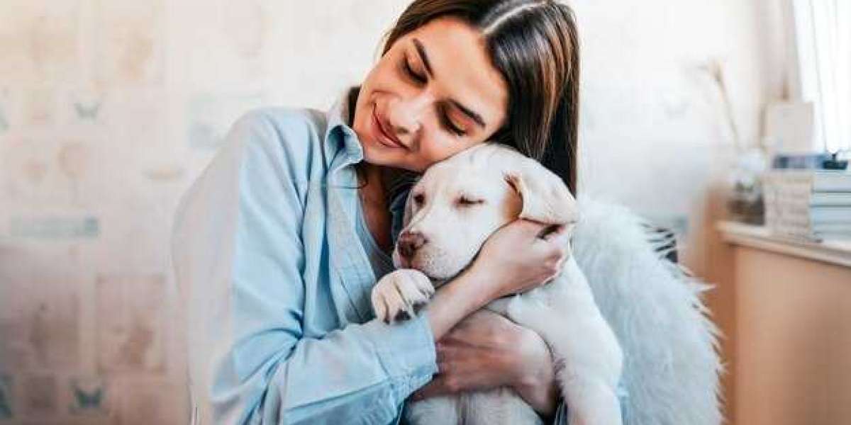 The Healing Power of Pet Therapy in Cancer Care