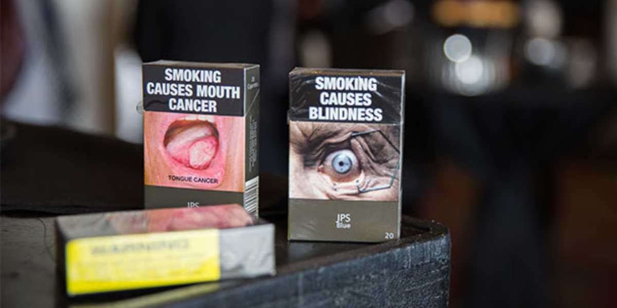 How does the Australian Tobacco Industry Impact Local Tobacco Shop Businesses?