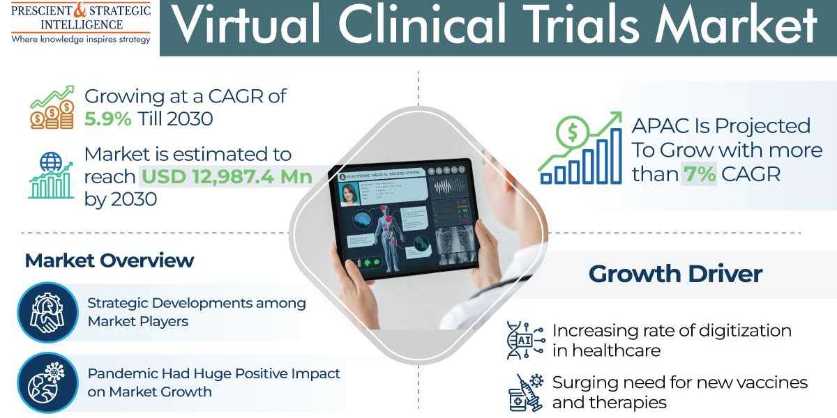 Virtual Clinical Trials Industry Development and Demand Forecast to 2030