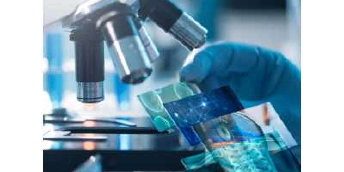 Precision medicine software Market to Hit $3112.52 Million By 2030