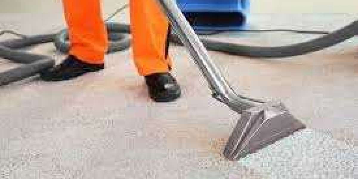 How Professional Carpet Cleaning Services Work Wonders