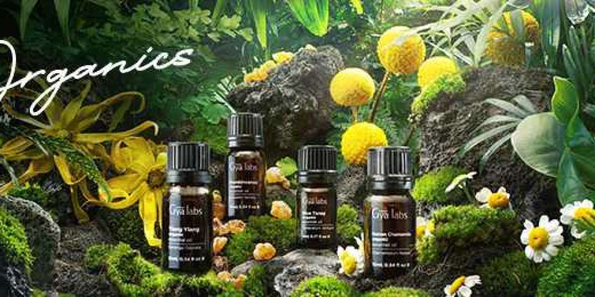 Exploring the Purity of GyaLabs Certified Organic Essential Oils