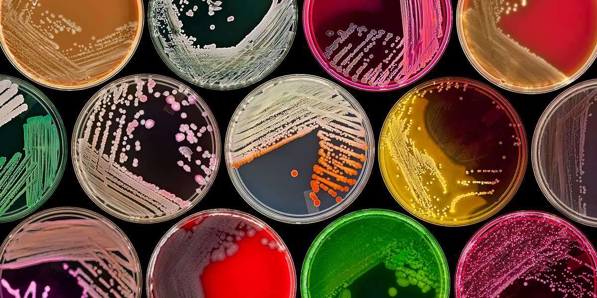 Demand for Efficiency in Healthcare to Boost Prospect of Microbial Products Market Share