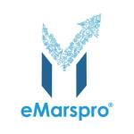 eMarspro Inc