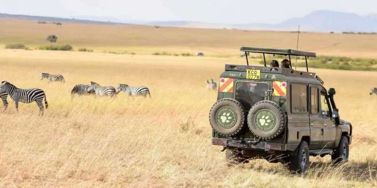 Budget-Friendly Kenya Safaris: Explore Africa's Wildlife Without Breaking the Bank