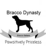 Bracco Dynasty