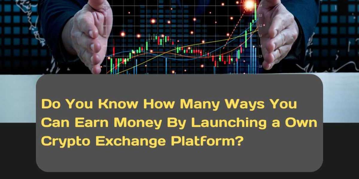 4 Ways You Can Earn Money By Launching a Own Crypto Exchange Platform?