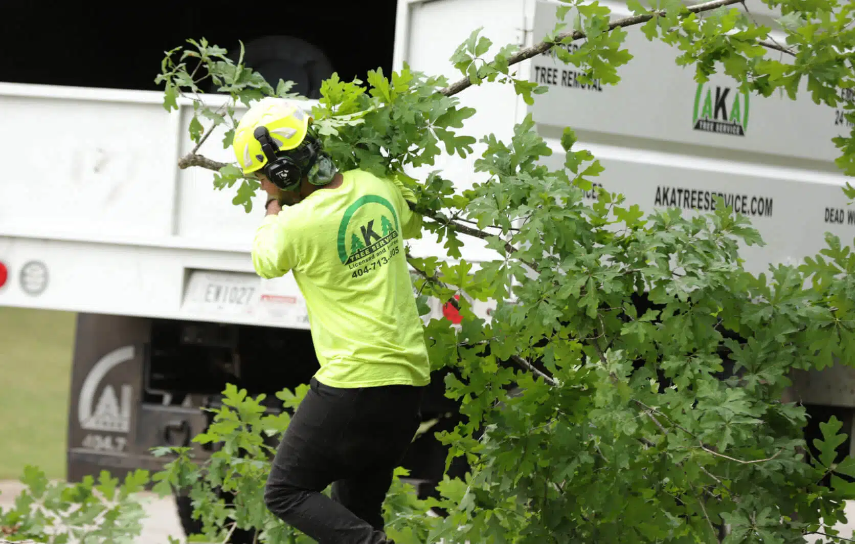 AKA Tree Service: The Only Partner You Need For Tree Care