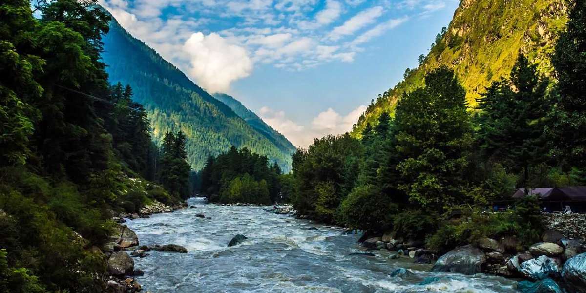 Trekking in Kasol: A Journey into the Heart of Nature