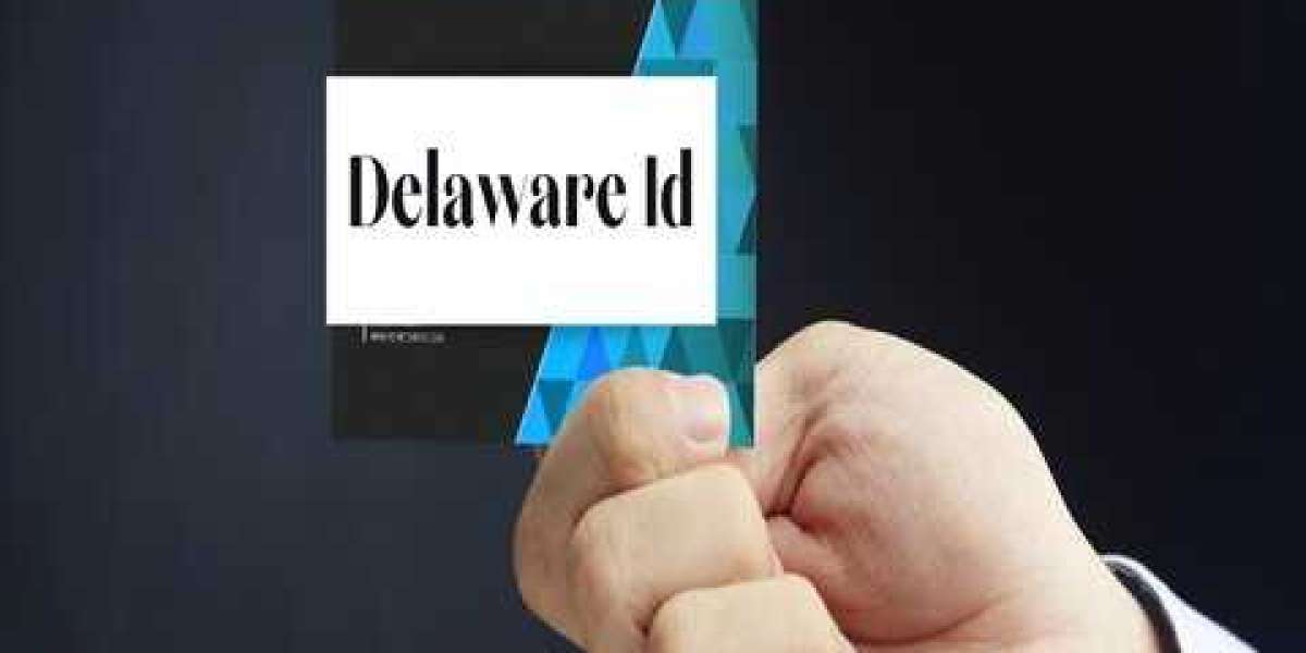 Essence of Delaware ID: A Gateway to Secure Transactions