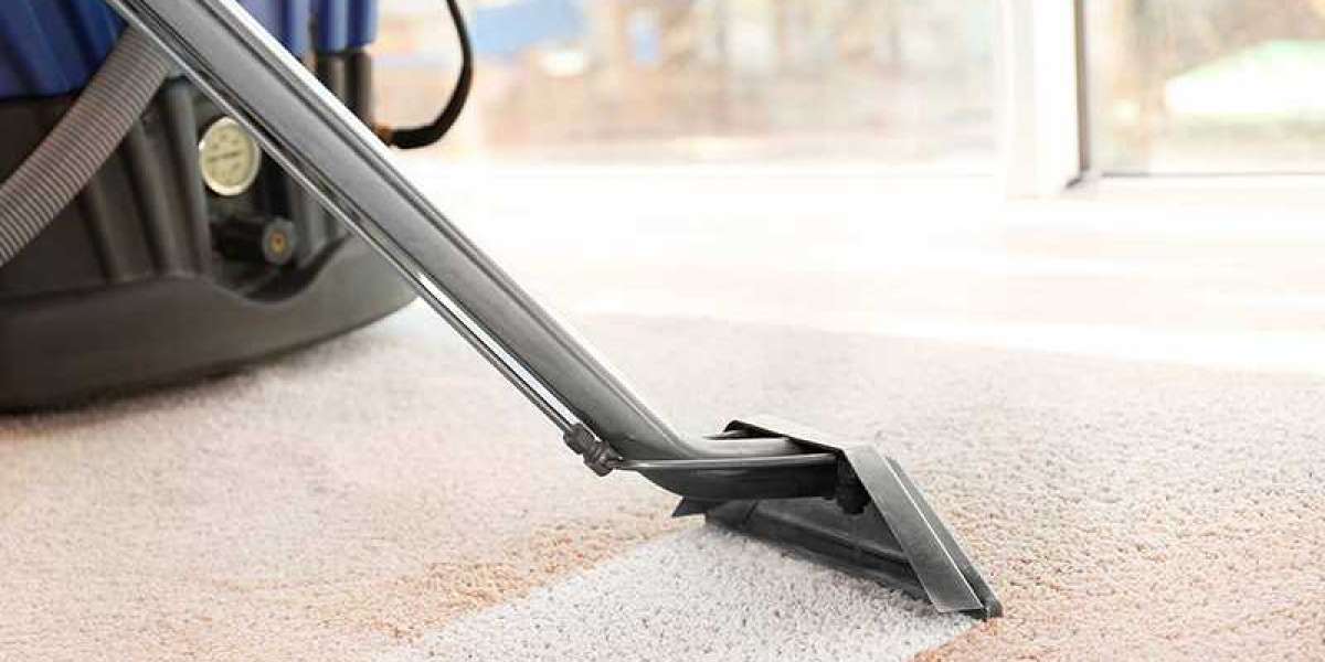 Carpet cleaning Kingston: Uses, Costs, and More
