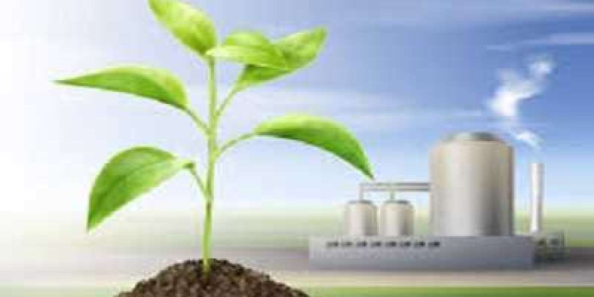 Bioenergy Market to Hit $189.38 Billion By 2030
