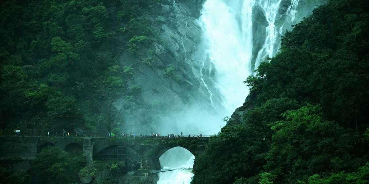 All you need to know about Dudhsagar trek from Bangalore