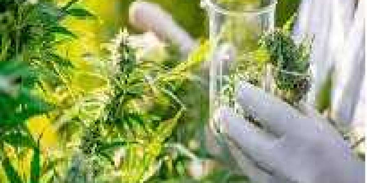 Cannabis Testing Market to Hit $2,669.45 Million By 2030