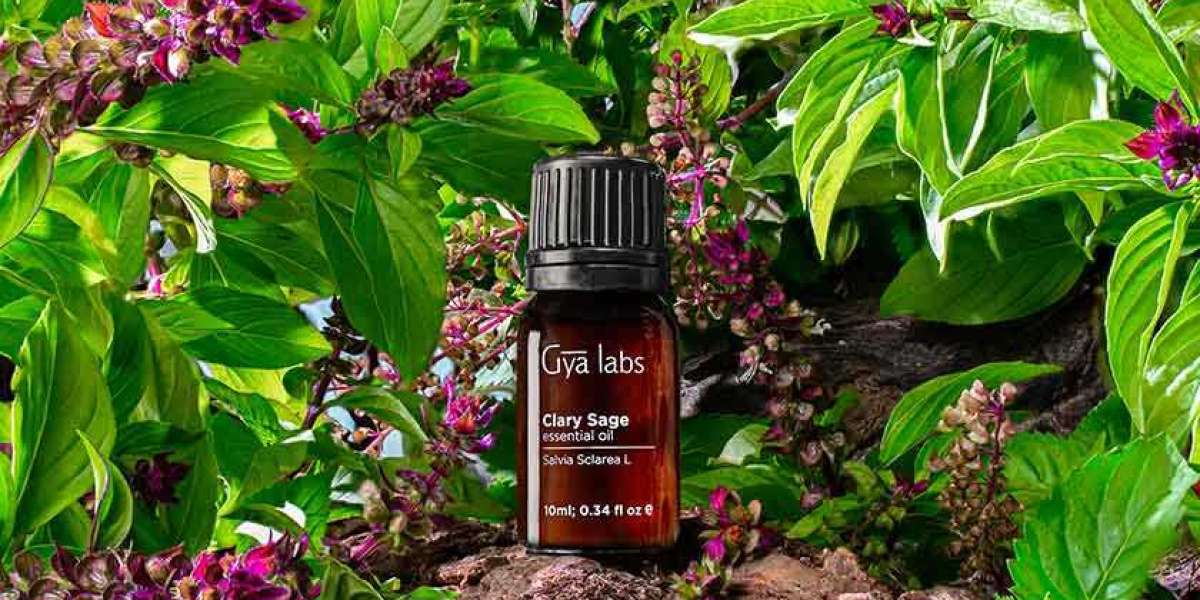 Clary Sage Oil for Sale: Discover the Benefits of GyaLabs Clary Sage Essential Oil