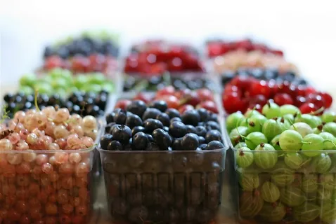 Exploring the Bountiful Benefits of Berries for Your Health