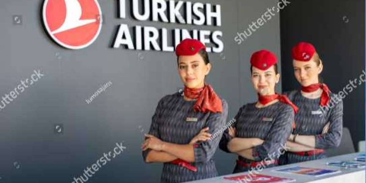 Are Business Class Flights Worth It? What Our Experience on Turkish Airlines Taught Us