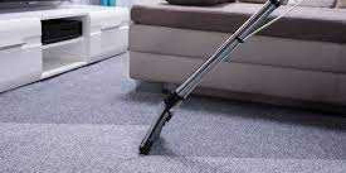 The Power of Professional Carpet Cleaning Services