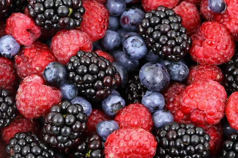 Exploring the Remarkable Health Benefits of Berries