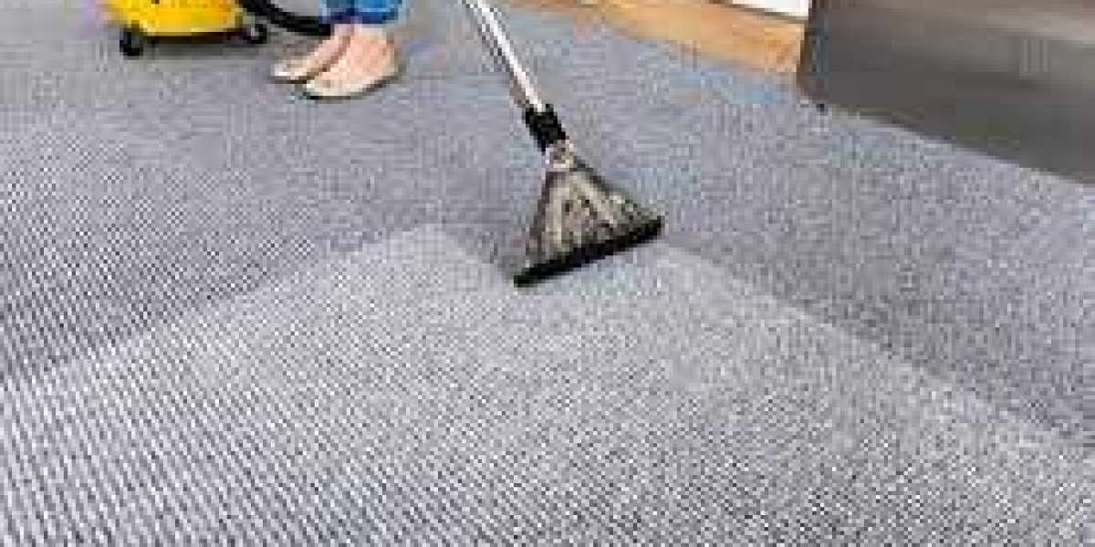 Exploring thе World of Professional Carpet Cleaning Services