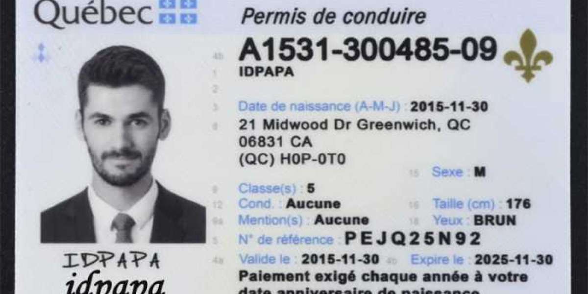 Identity in Question: The Truth About Quebec Fake IDs